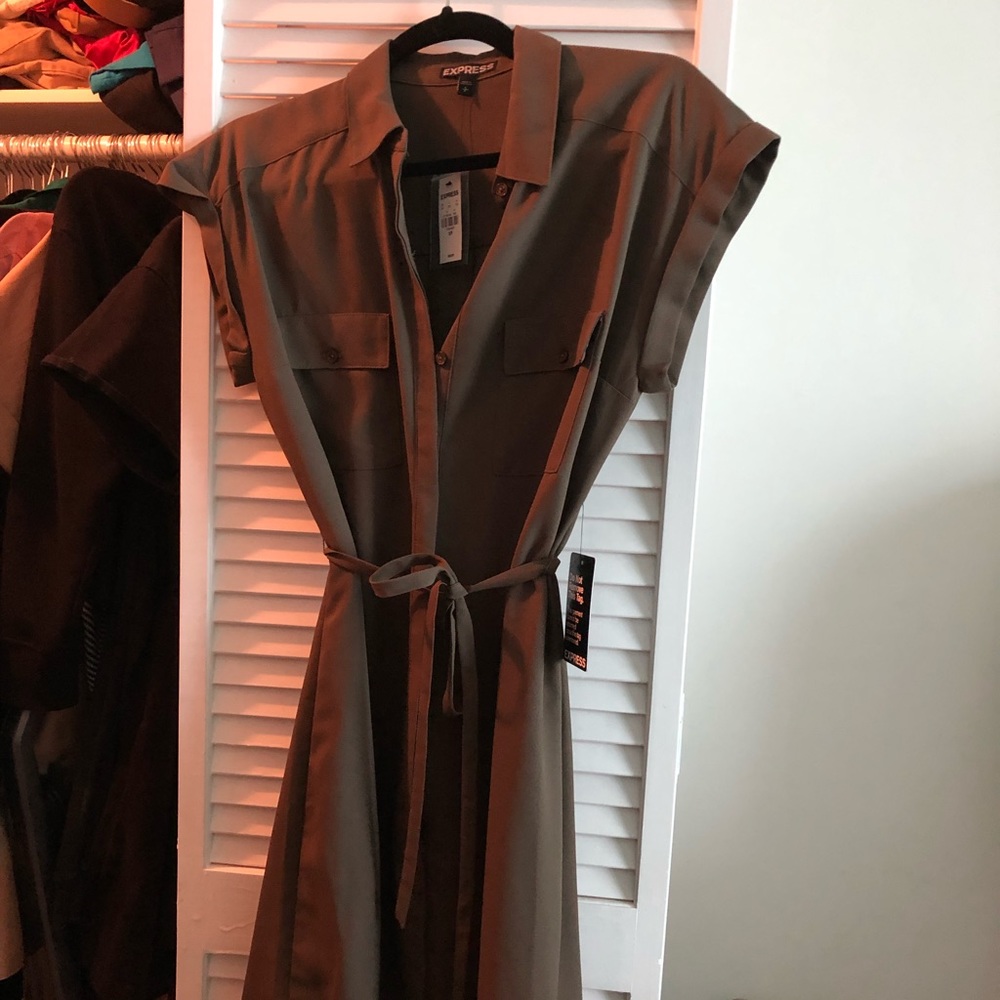 Express sleeveless dress